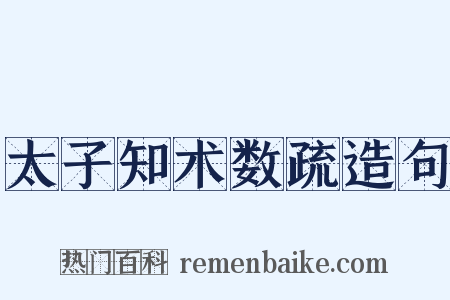 太子知术数疏造句是什么意思的图片